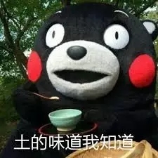 电动扫地机在农村环卫的重要性 电动扫地机在农村环卫的重要性