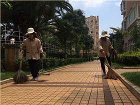 什么样的电动扫地车适合在小区工作 什么样的电动扫地车适合在小区工作