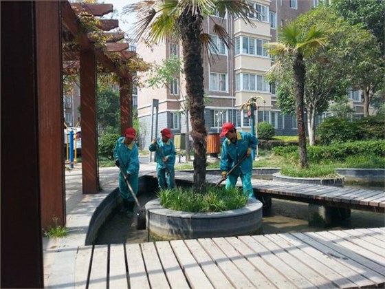 物业园区道路高效清扫就选圣倍诺电动扫地车 物业园区道路高效清扫就选圣倍诺电动扫地车