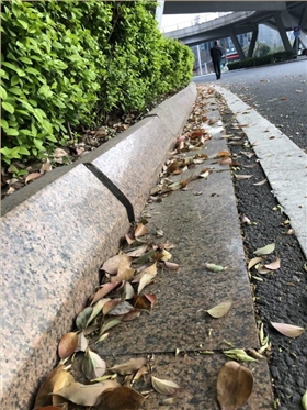 市政环卫清洁难,电动扫地车来帮忙 市政环卫清洁难,电动扫地车来帮忙